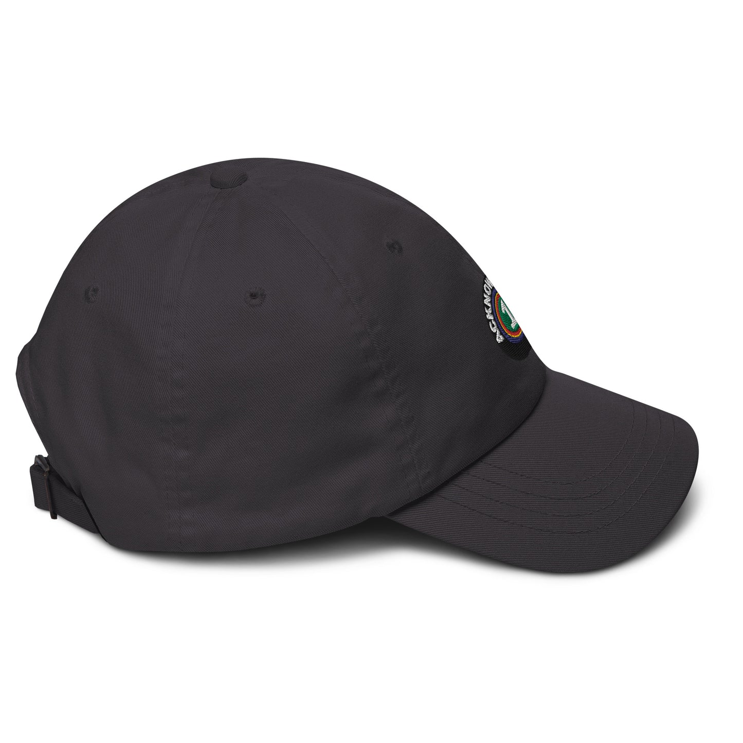 Acknowledge Embroidery One Dad hat