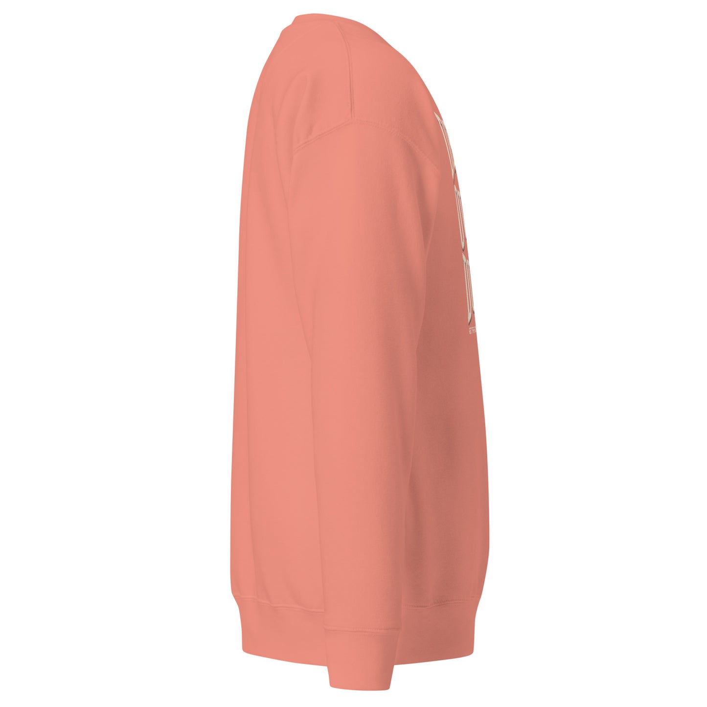 Deen Over Dunya Unisex Premium Sweatshirt